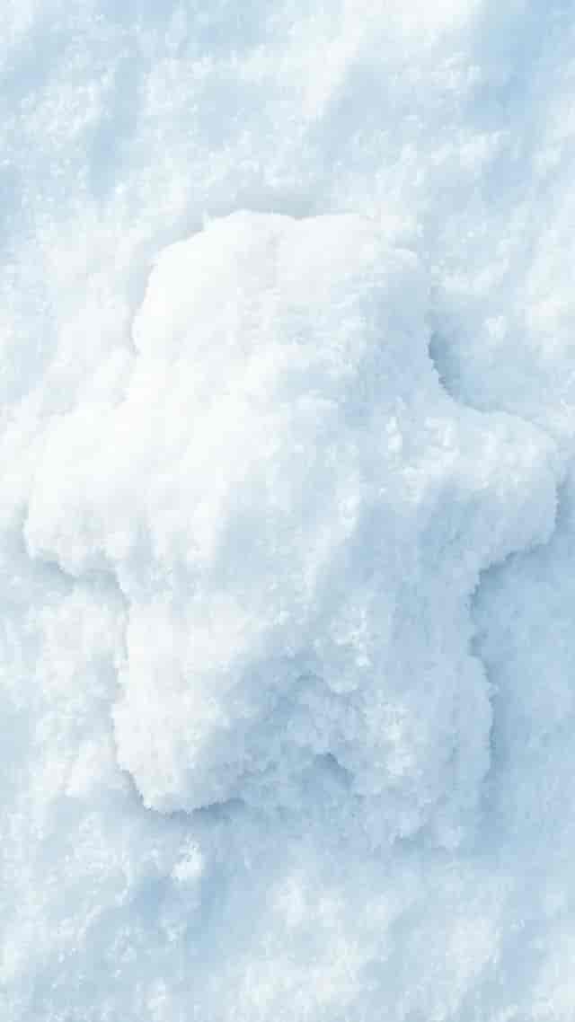 Snow Reveal background blur