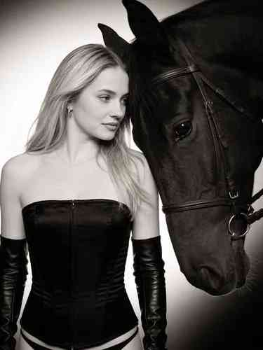 Fine-Art Horse Duo background blur