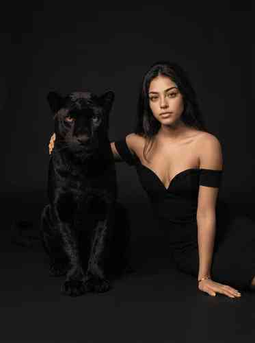 Panther Studio Editorial background blur