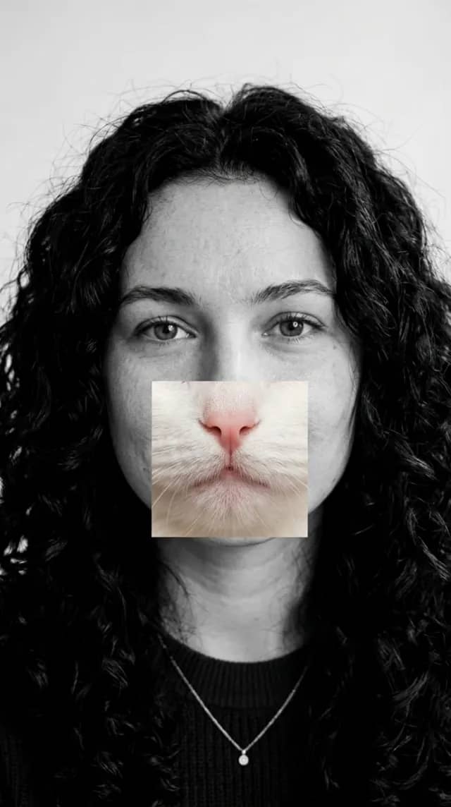 Cat Swap