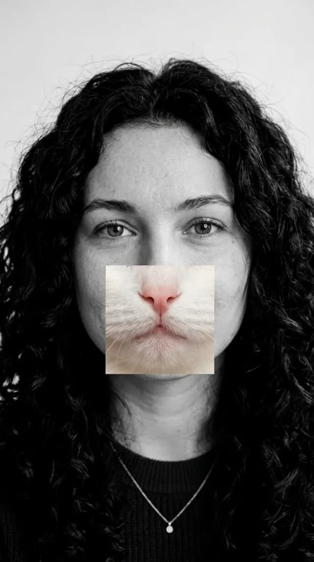 Cat Swap