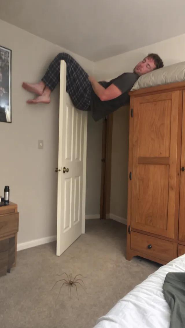 Bedroom Spider Scare