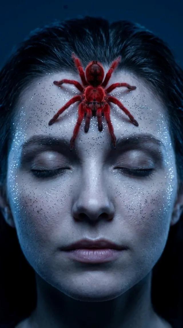 Red Tarantula Close-Up