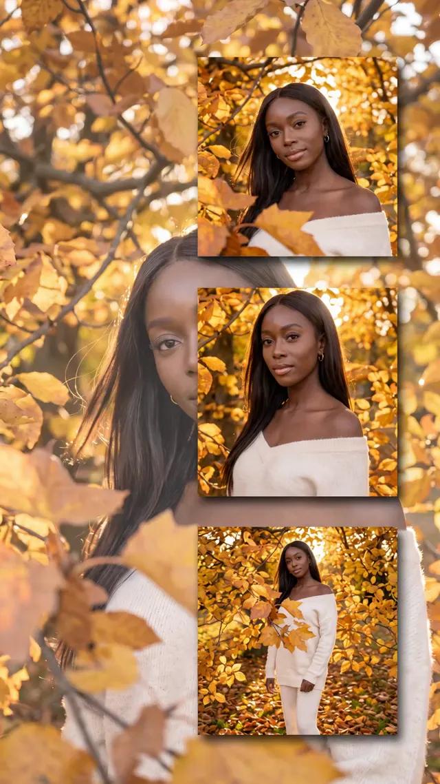 Three-Frame Collage